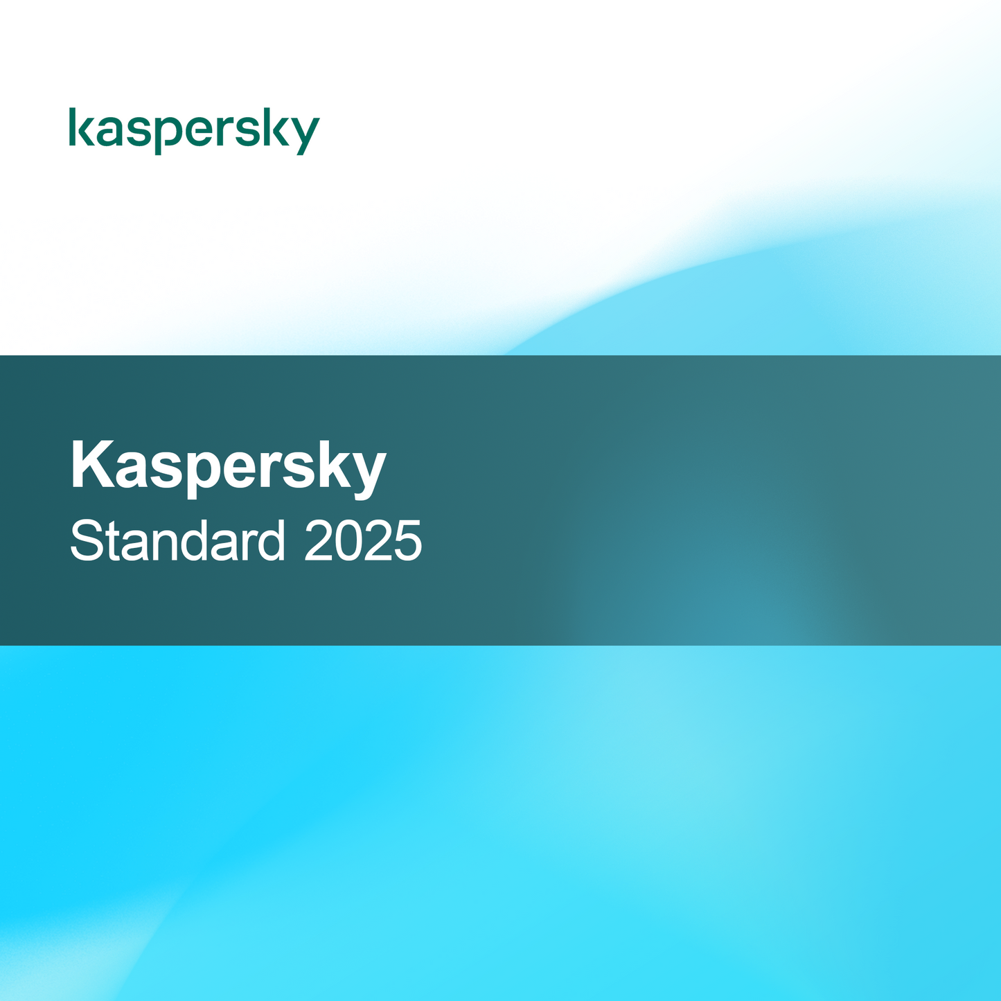 Kaspersky Standar 2025