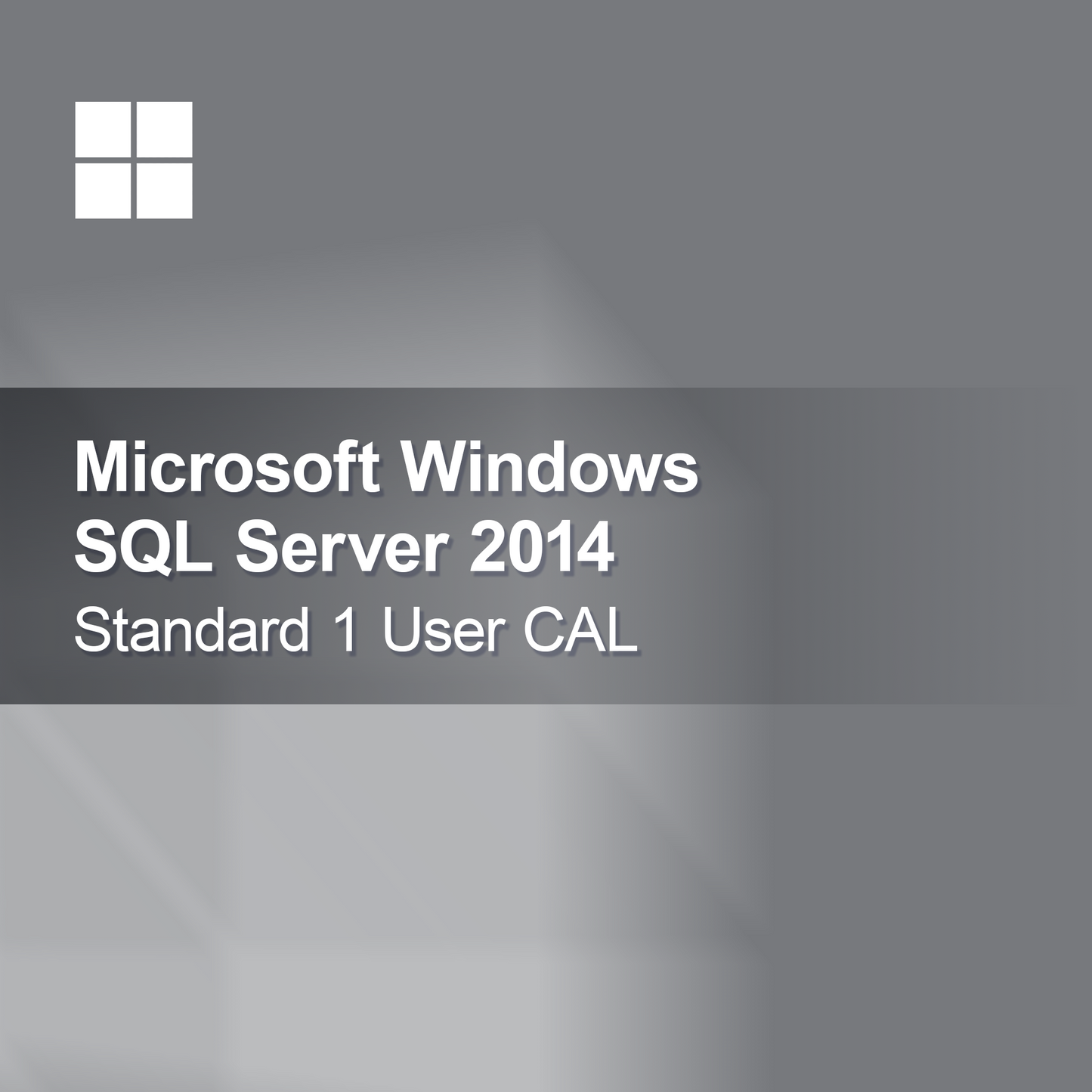 Microsoft SQL Server 2014 Standar 1 Pengguna CAL