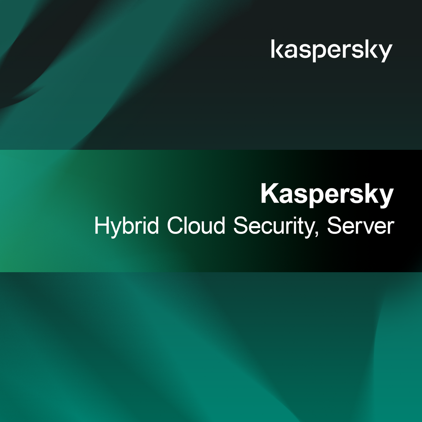 Keamanan Cloud Hibrida Kaspersky, Server