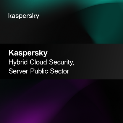 Keamanan Cloud Hibrida Kaspersky, Server Sektor Publik