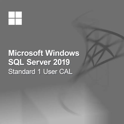 Microsoft SQL Server 2019 Standar 1 Pengguna CAL